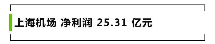 2015 年上海國際機場股份有限公司實現(xiàn)凈利潤 25.31 億元